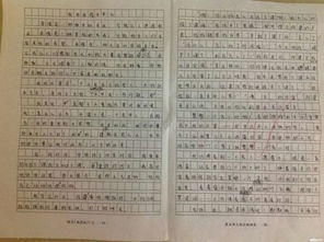 關(guān)于成長(cháng)和親情作文好開(kāi)頭大全