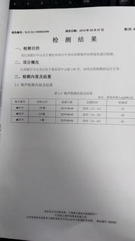 關于噪聲的調查報告三篇(啰噪（囉噪）)