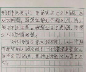 第一次追星作文開(kāi)頭