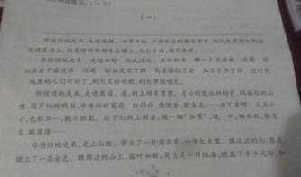 作文時標(biāo)點能在一段的開頭嗎