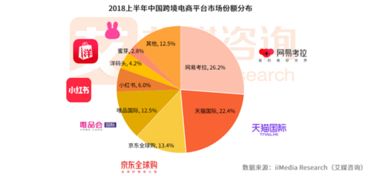 跨境電商實習總結(jié)(關(guān)于跨境電商的實習總結(jié))