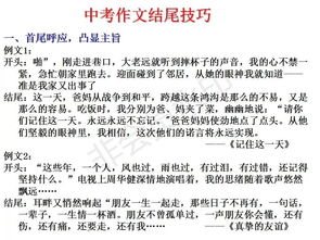 一次活動(dòng)作文的開頭和結(jié)尾怎么寫