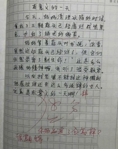 我的小老師500字作文開(kāi)頭結尾