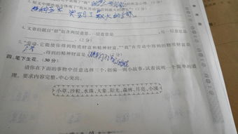 最開(kāi)心的一件事作文開(kāi)頭怎么寫(xiě)