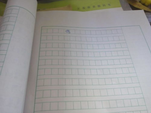 我真他600字作文開(kāi)頭