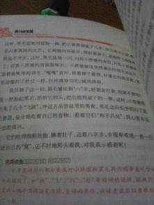 人關(guān)愛(ài)動(dòng)物的作文(人關(guān)愛(ài)動(dòng)物的作文)