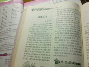 三百字開(kāi)頭作文大全
