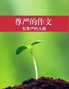 堅持原則的作文開(kāi)頭
