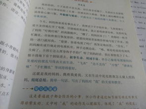我的母親100字記事作文開(kāi)頭結尾
