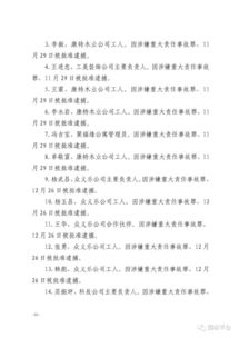 火災事故調查報告(火災事故的調查報告)