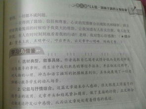 我的老師作文600字比喻開(kāi)頭