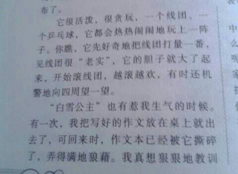 可愛(ài)的她開(kāi)頭作文開(kāi)頭