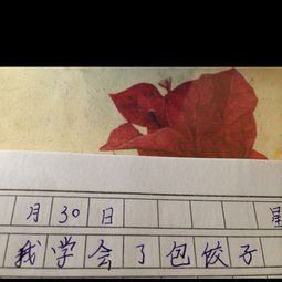 我學(xué)會了包餃子作文開頭怎么寫