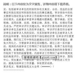 TS審核小結范文(財務(wù)審核工作小結范文)