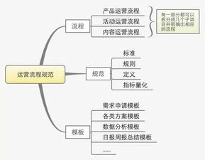 運營(yíng)方案(網(wǎng)站運營(yíng)方案)