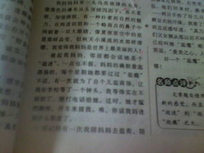 母親有什么難忘的事作文600字作文開(kāi)頭