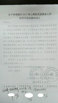 資金申請報告范文(學(xué)校的資金申請報告范文)