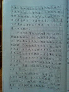 撿拾記憶中的珍珠作文開(kāi)頭600字