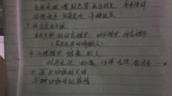 寫(xiě)小貓的最好的作文600字作文開(kāi)頭