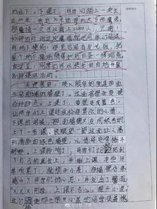 作文,開(kāi)頭,走進(jìn),老師