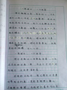 一張照片的故事的作文開(kāi)頭