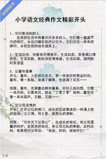 我的成功之道作文開(kāi)頭