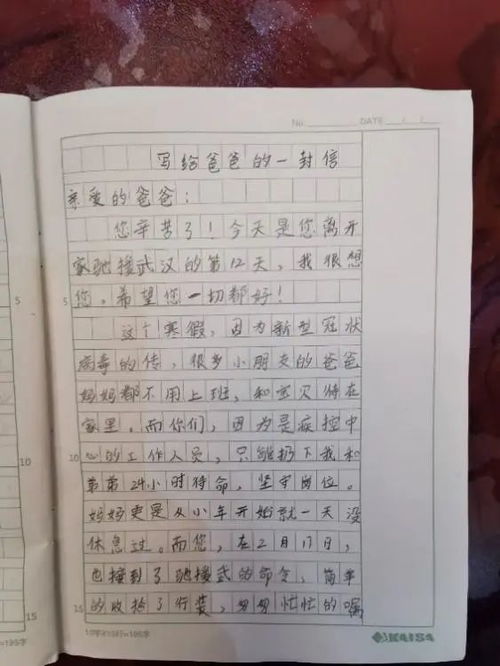 含有家國情懷的作文開(kāi)頭結尾