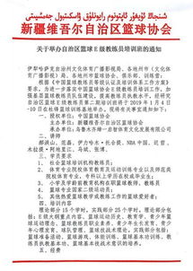 籃球協(xié)會(huì )總結(籃球協(xié)會(huì )工作總結)