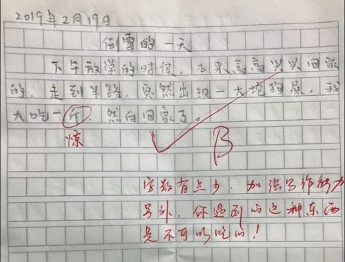 標點(diǎn)符號的遐想作文開(kāi)頭