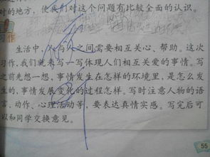 生活中最關(guān)心你的人作文開(kāi)頭結尾