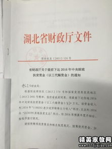 扶貧資金使用自查報告范文(專(zhuān)項資金使用情況自查報告)