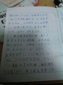 想起那一天的感動(dòng)作文開(kāi)頭
