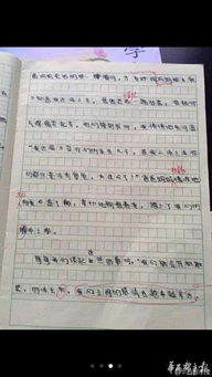 媽媽的目光作文初二開(kāi)頭結尾