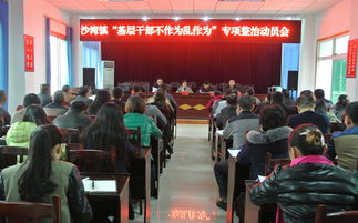 社區工作自查報告范文(社區工作自查報告)