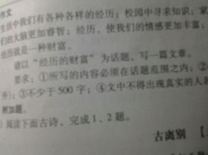 不同的財富作文開(kāi)頭