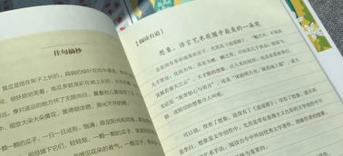 作文開(kāi)頭唯美句子摘抄大全