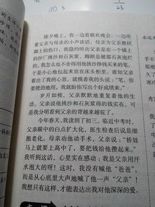 仿寫(xiě)背影600字作文初二開(kāi)頭