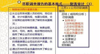 企業(yè)財務(wù)盡職調查報告標準范文(企業(yè)財務(wù)盡職調查報告)
