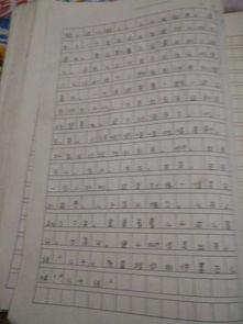 放假第一天作文開頭