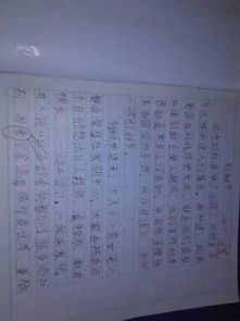 自信節的作文的開(kāi)頭