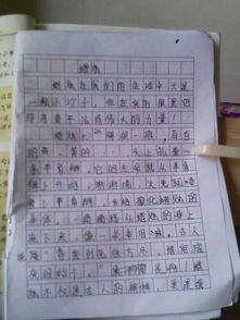 讀書對(duì)自己的啟示的作文開頭結(jié)尾