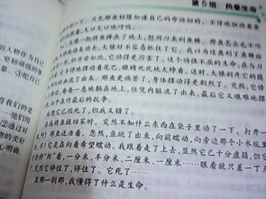 關(guān)于熱愛(ài)生活的作文開(kāi)頭,熱愛(ài)生活熱愛(ài)寫(xiě)作作文的開(kāi)頭,熱愛(ài)生活熱愛(ài)寫(xiě)作作文開(kāi)頭結尾