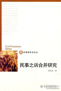 論民事之訴(對確立民事再審之訴的構想)