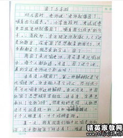印象深的春節作文開(kāi)頭