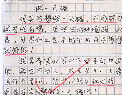我的白日夢(mèng)作文開(kāi)頭