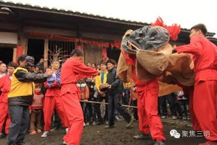 民俗活動(dòng)板凳龍(看板凳龍初中作文)