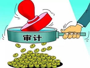 內部控制審計與內部控制評價(jià)的聯(lián)系和區別(內部控制審計與內部控制評價(jià)的聯(lián)系和區別)
