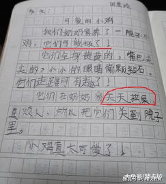 那個(gè)可愛(ài)的她作文開(kāi)頭,可愛(ài)的小狗作文開(kāi)頭,可愛(ài)的小白兔作文開(kāi)頭
