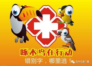 啄木鳥(niǎo)在行動(dòng)作文開(kāi)頭