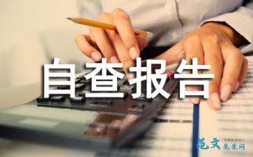 檔案安全風險隱患的自查報告范文(法院檔案安全風險隱患排查自查報告)